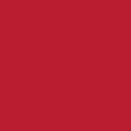 chilli pepper rot