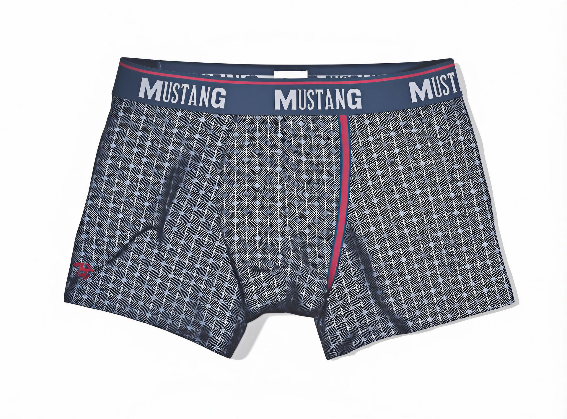 MU-4099_1000 Mustang – Rückansicht