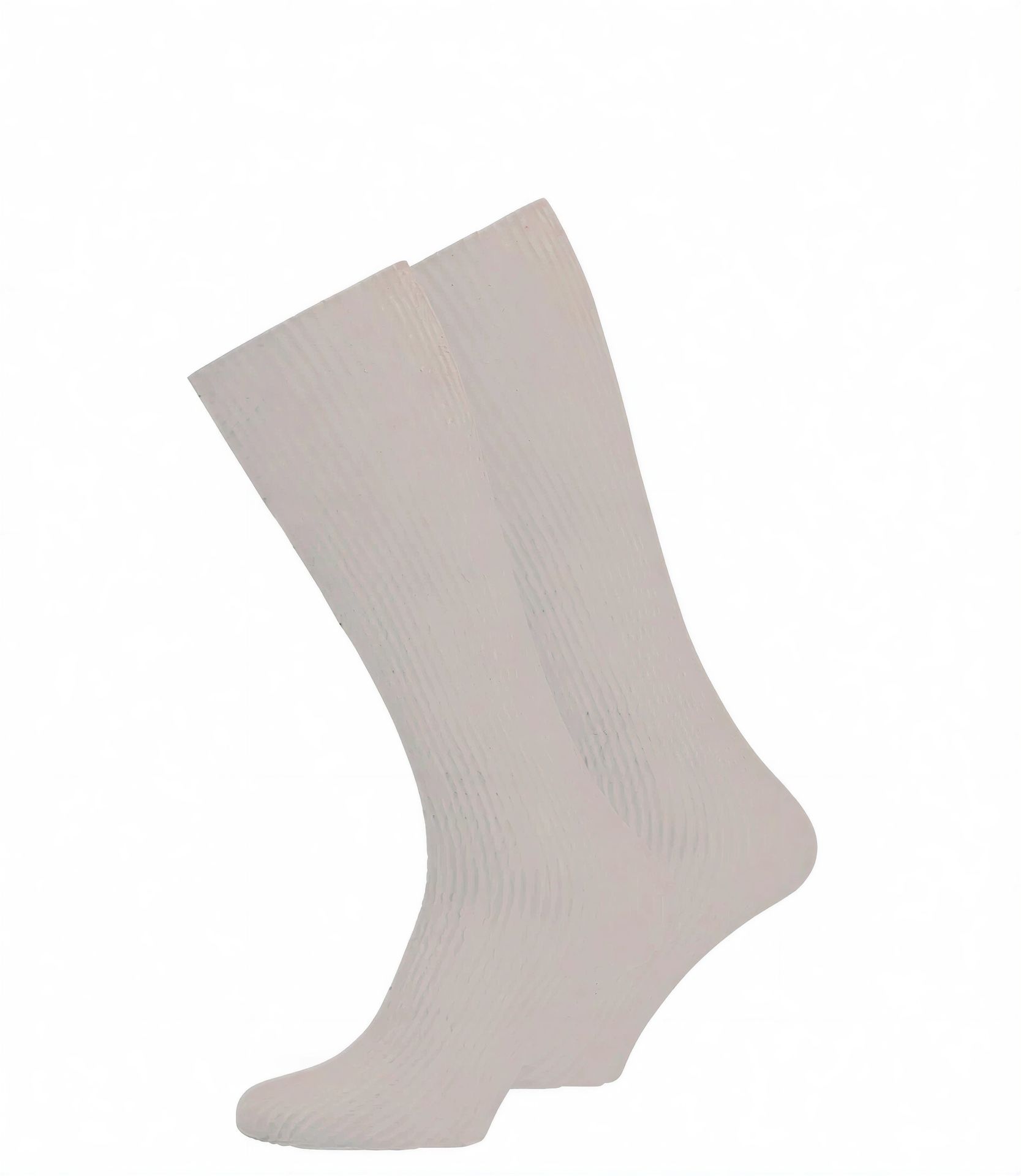 ts-99619 Tamaris – Rückansicht