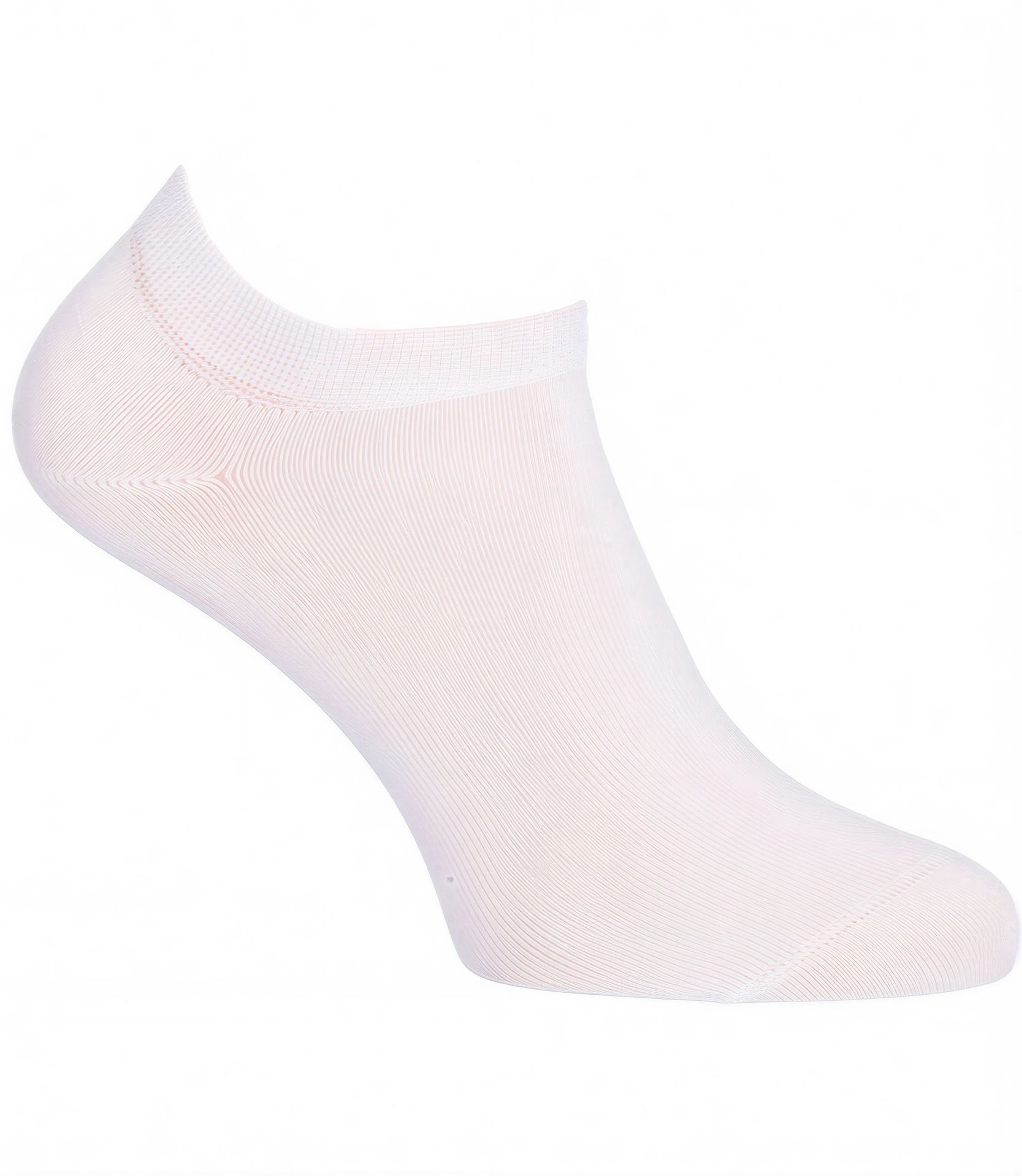 wi-10665 Wilox – Rückansicht