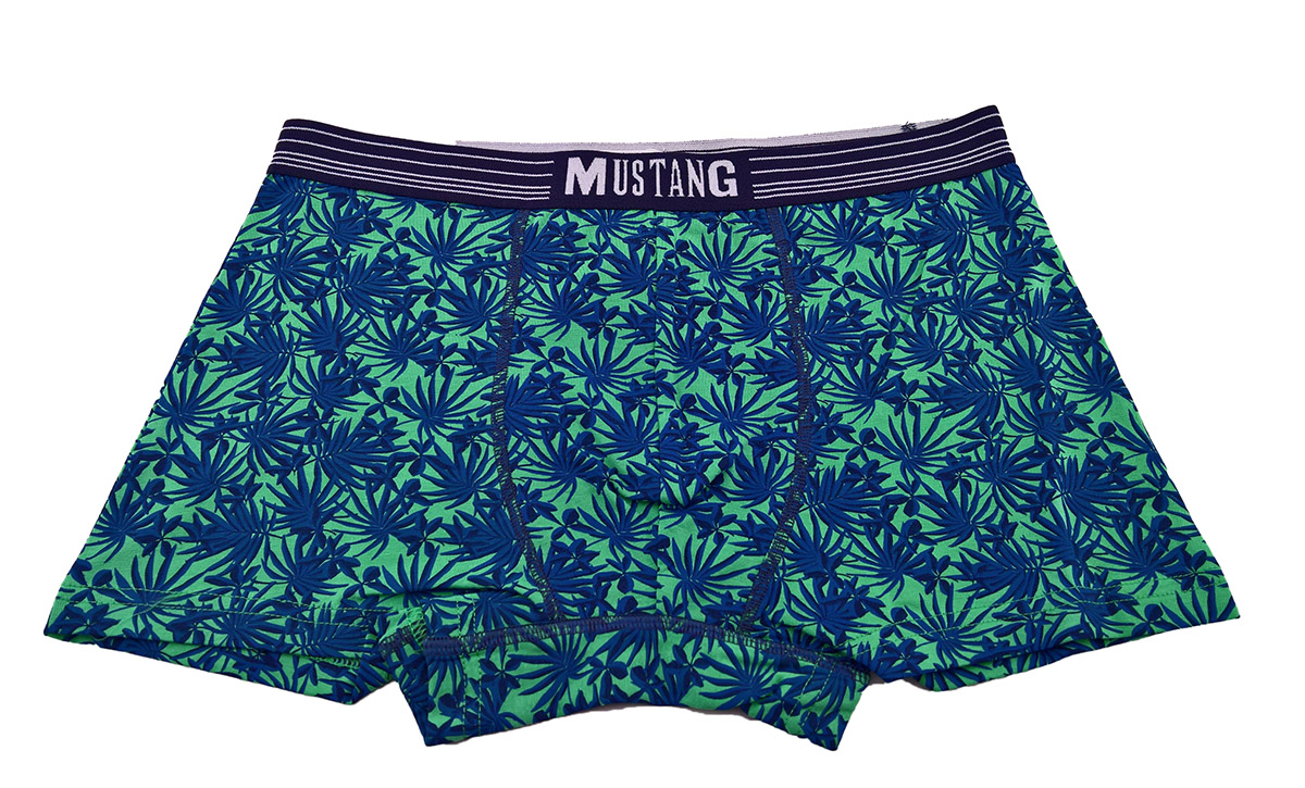 Mustang Herren Boxershorts BAKER Retro