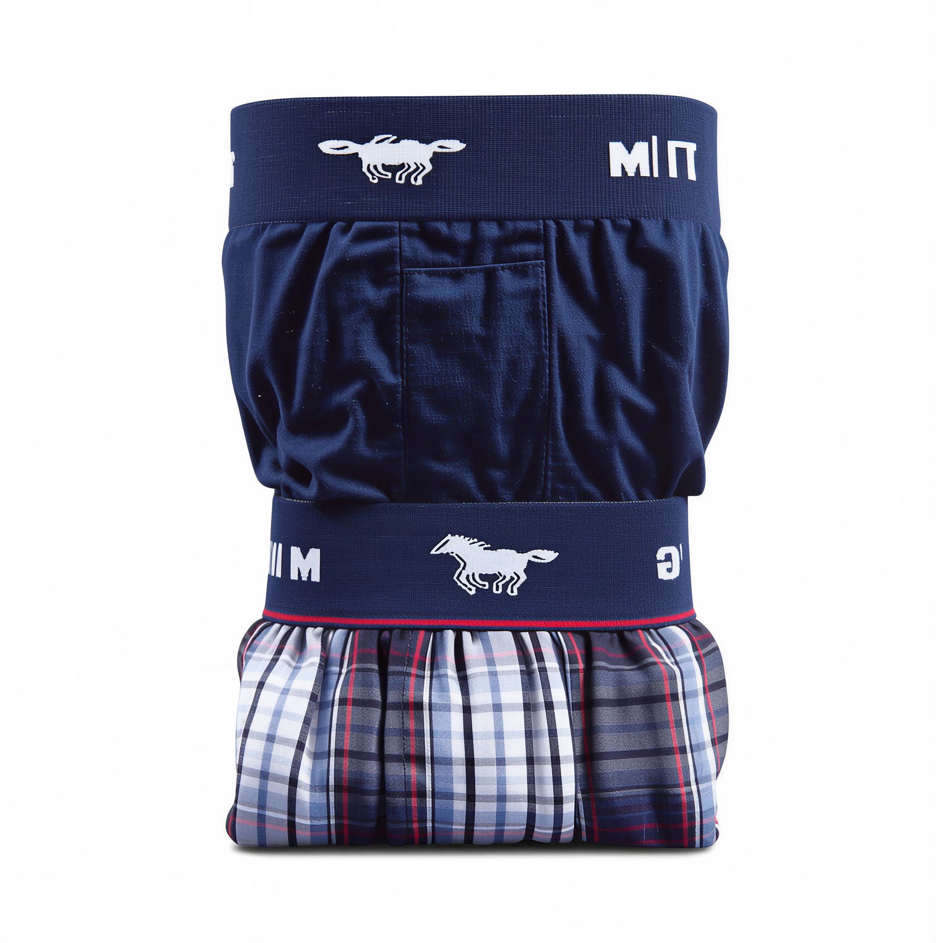 MU-4174_1602 Mustang – Rückansicht