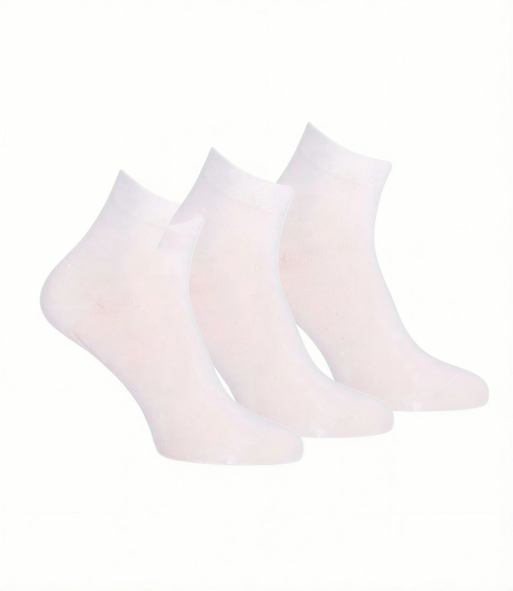 wi-10666 Wilox – Rückansicht