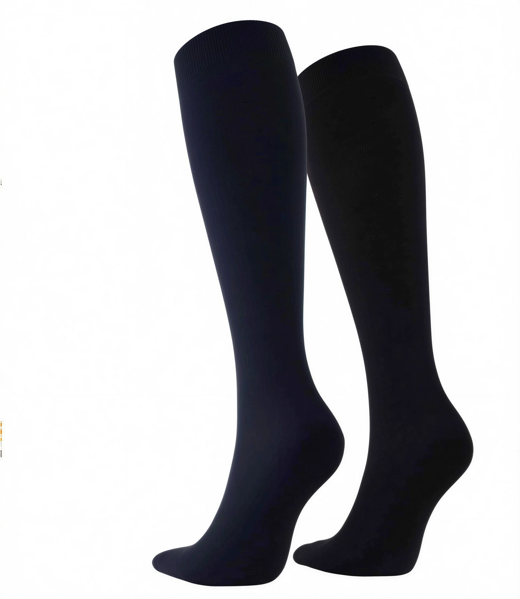 wi-10477 Wilox – Rückansicht